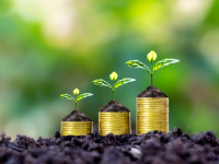 coins growing from the ground
