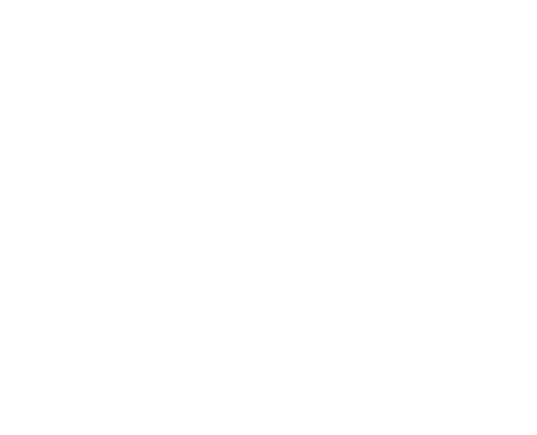 Drive traffic and brand demand through paid media, social media, websites, influencer campaigns, creative production, PR and events.
